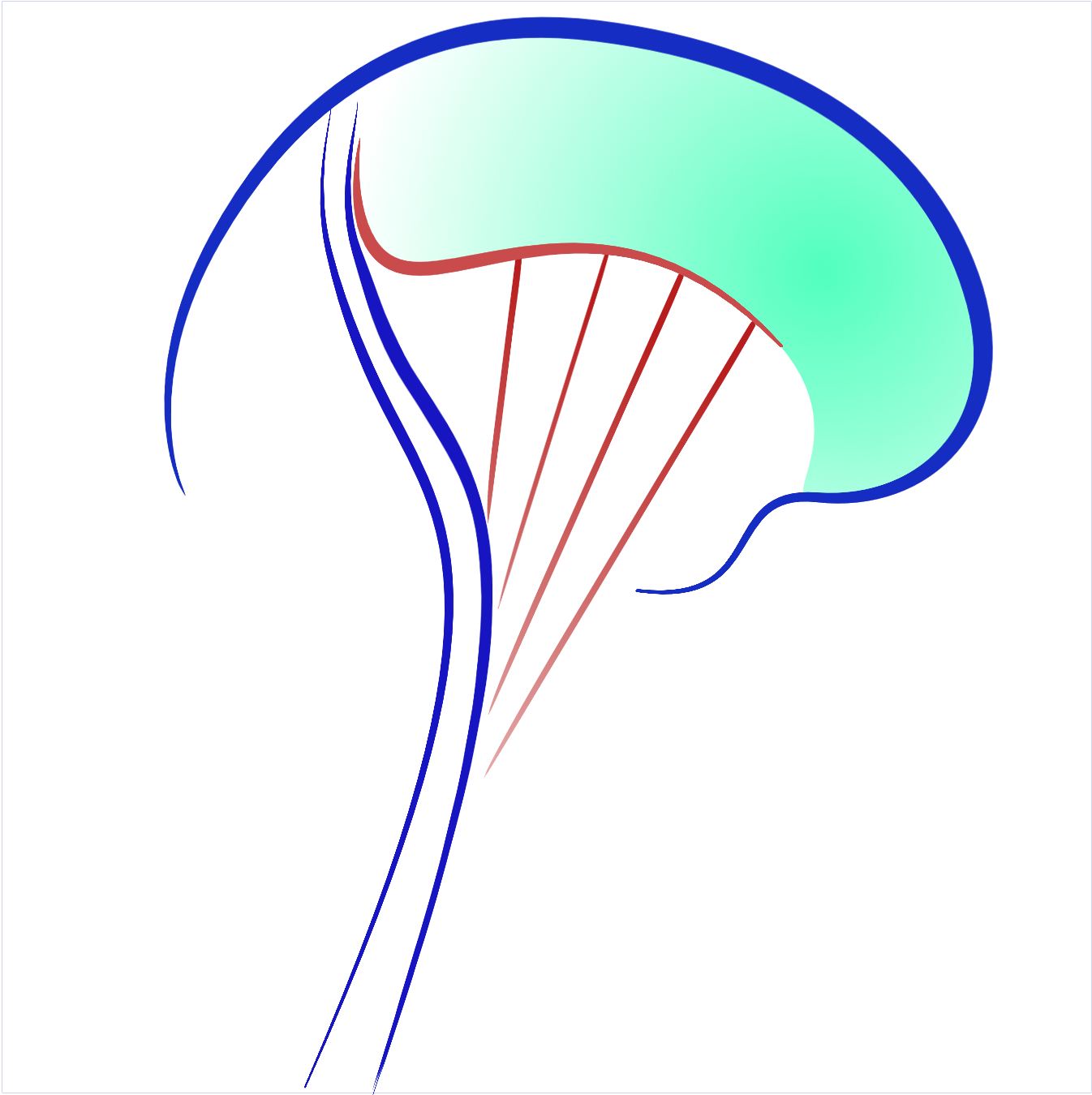 ARP